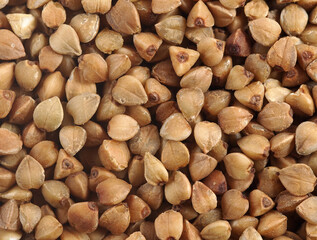 Groats buckwheat grains background. Top view. The texture of dry buckwheat. Background of buckwheat porridge.