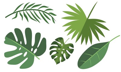 Collection de feuilles tropicales. Logo d& 39 été