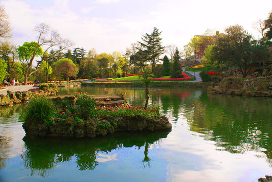 Panoramic photo of a scenery that contains green trees, grass and a river which has a reflection of its surroundings under the blue sky.