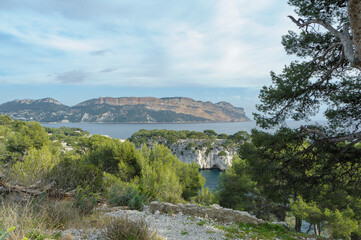 The coastal cliffs around Marseille France. The rocky shore of the French Riviera covered with age-old pines and other temperate vegetation.