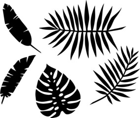 Palm leaves tropical plant illustration vector