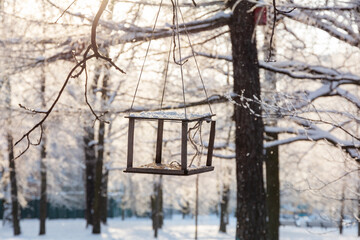 Broken empty bird feeder in winter snowy park suspended by rope from tree branch