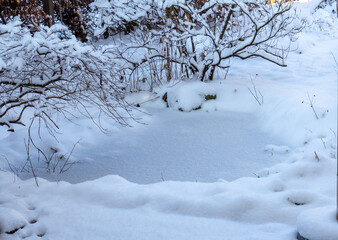 Es hat die ganze Nacht geschneit, der Himmel ist heute blau und der Teich ganz wei&szlig;.