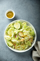Healthy green salad with radish and cucumber