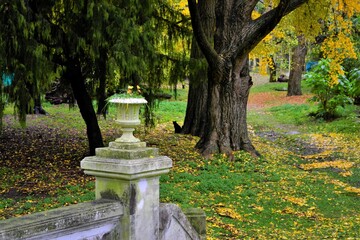 PASEO DEL BOSQUE  IV