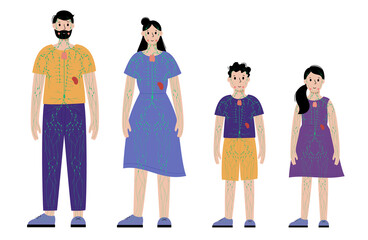 Lymphatic system in human body