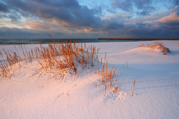 Zimowy Krajobraz wybrzeża Morza Bałtyckiego