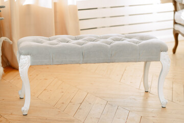 Sofa, bench, classic couch. Light gray velvet upholstery, white base.