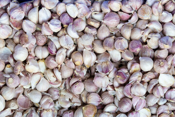 A close-up shot of fresh garlic clove on market.Top view for background
Spicy cooking ingredient picture. Pile of white garlic heads.