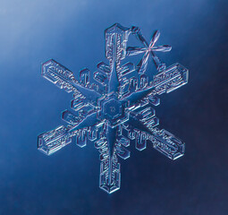 Snowflake on smooth gradient background. Macro photo of real snow crystal on glass surface. This is...