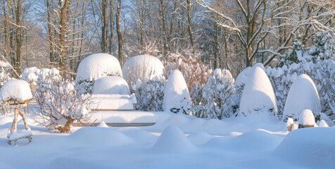 Wintermorgen