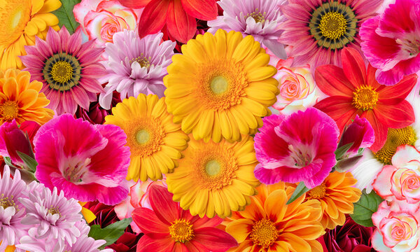Floral background with multicolored flowers