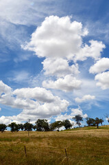 Obraz premium landscape with clouds and sky