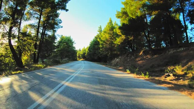 Countryside nature with green trees lush forest and shining sun, asphalt road car travel POV drive