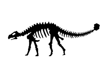Fototapeta na wymiar silhouette of dinosaurs skeleton. Hand drawn dino skeleton. Dinosaur bones, exhibit fossils in the museum