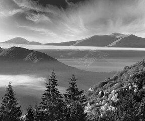 Grayscale. Forest on autumn slope and clouds between the peaks.