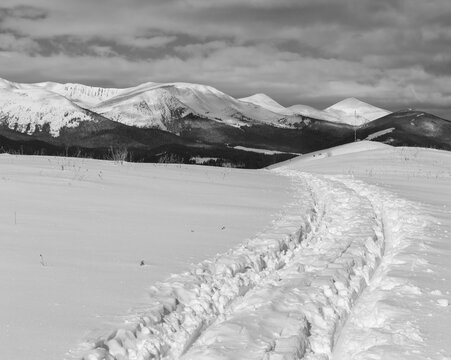 Grayscale. Sledge trace and footprints on winter mountain hill top and snow covered alp Chornohora ridge (Ukraine, Carpathian Mountains, tranquility peaceful view from Dzembronya village outskirts).