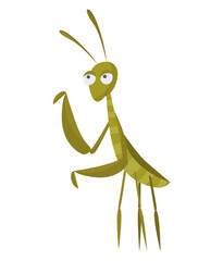 Funny cartoon insect isolated on white. mantis character. Happy animal. Colorful hand drawn illustration. Flat colorful bug