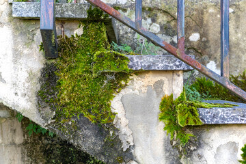 Old abandoned concrete peeled staircase overgrown with moss and mold.