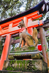 JP Kyoto Inari Fox Gate