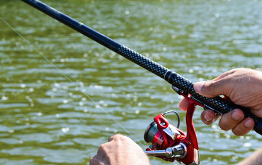 Fish chub on a hook on the background of the river in soft green background. Catching fish in fresh water. Lures, bait, fishing line, fishing tackle. Fishing equipment. 