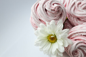 Homemade zephyr or marshmallow in white plate with flower chamomile on white background. Marshmallow, Meringue, Zephyr. Tasty food concept