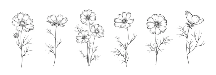 Satz verschiedene Blumen auf weißem Hintergrund. © Kotkoa
