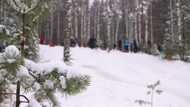 View of the slope and happy children going down the mountain in defocus. Beautiful ski resort with winter landscape with fresh white snow. Rest on a clear day, for sleigh rides and skiing.