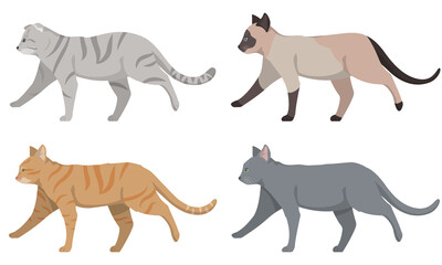 Set of different cats side view. Siamese, lop-eared, red-headed and russian blue cat.