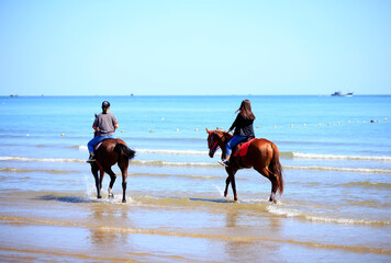 Race horse and jockey galloping on the beach