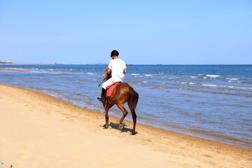 Race horse and jockey galloping on the beach