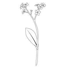 Abstract Hand Drawn contour silhouette flower. Vector Illustration EPS10