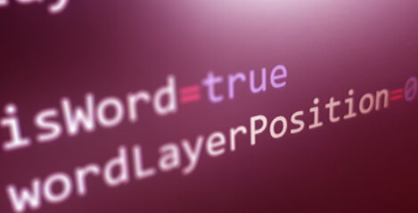 Coding concept. Software development monitor. Technology display. Application source code background