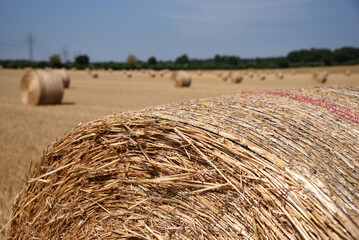 Strohballen Rundballen liegt nach der Ernte auf einem Kornfeld