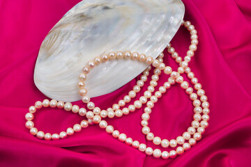Beads of natural pink pearls and a large seashell,lying on crimson silk satin fabric.Pearl necklace.Concept of decoration,jewelry,precious gift.