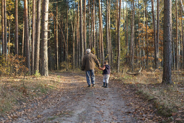 Fototapeta premium Happy child with Grandfather playing at the forest. Grandpa retiree. Retirement parent. Portrait of pensive senior man and his grandson. Senior man having fun with his grandchild outdoor.