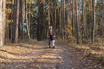 Fototapeta premium Happy child with Grandfather playing at the forest. Grandpa retiree. Retirement parent. Portrait of pensive senior man and his grandson. Senior man having fun with his grandchild outdoor.