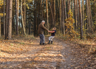 Fototapeta premium Happy child with Grandfather playing at the forest. Grandpa retiree. Retirement parent. Portrait of pensive senior man and his grandson. Senior man having fun with his grandchild outdoor.