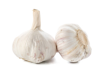 Fresh garlic on white background