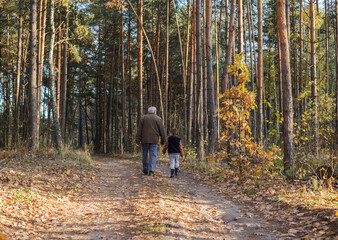 Happy child with Grandfather playing at the forest. Grandpa retiree. Retirement parent. Portrait of pensive senior man  and his grandson. Senior man having fun with his grandchild outdoor.