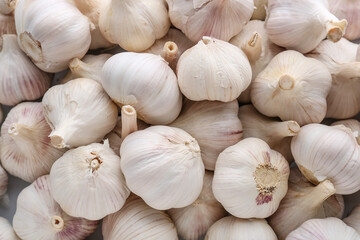 Heap of fresh garlic as background