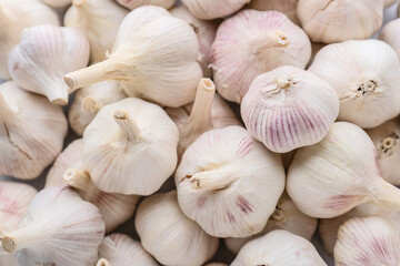 Heap of fresh garlic as background