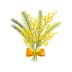 A bouquet of mimosas. Vector illustration