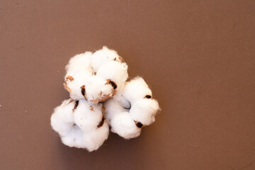 Fototapeta na wymiar Cotton buds on brown