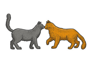 Cat love couple greeting touch their noses color sketch engraving vector illustration. T-shirt apparel print design. Scratch board style imitation. Black and white hand drawn image.