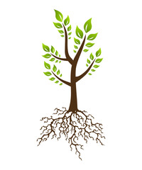 Abstract tree with root. Tree with lush root and leaves. Corporate branding identity design template