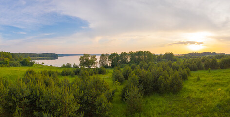 Fototapeta na wymiar forest by the lake