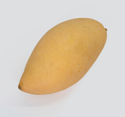 Mango fruit on white background