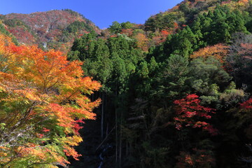 べふ峡　美しい渓谷　秋　（高知県）