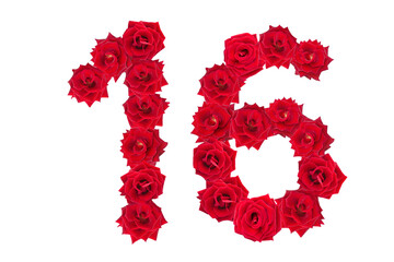 Numeral 16 made of red roses on a white isolated background. Element for decoration. Red roses.